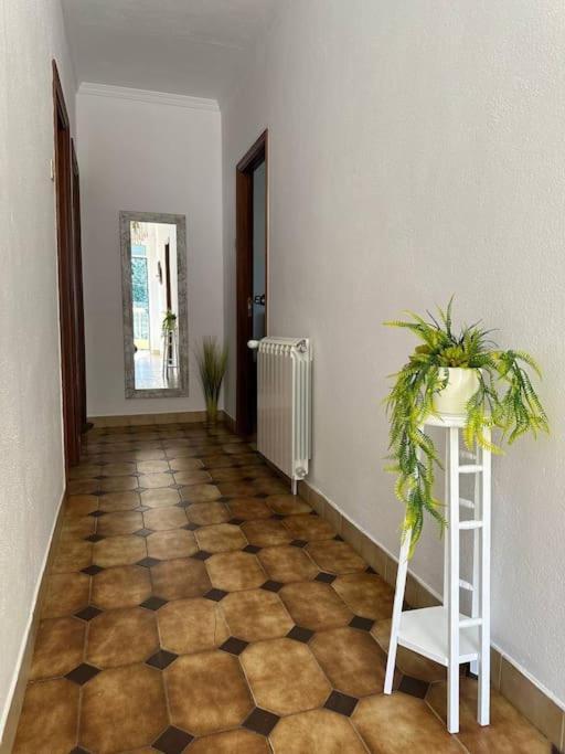 Casa De Sergude Peso da Régua Εξωτερικό φωτογραφία