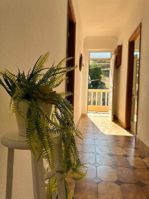 Casa De Sergude Peso da Régua Εξωτερικό φωτογραφία