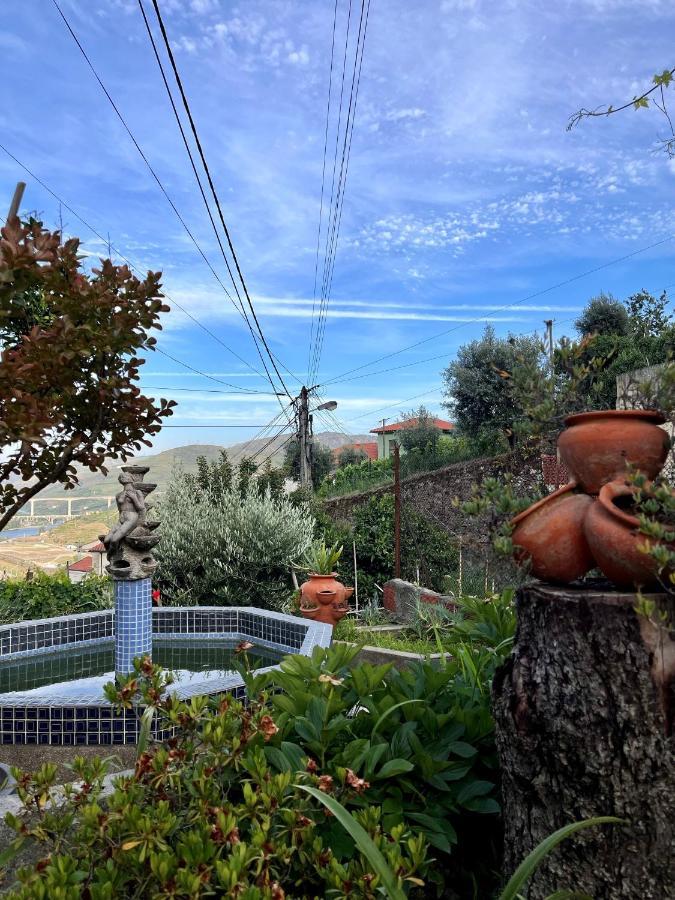 Casa De Sergude Peso da Régua Εξωτερικό φωτογραφία